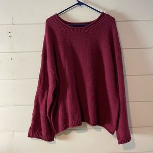 BNWOT beautiful plus size sweater size 1X